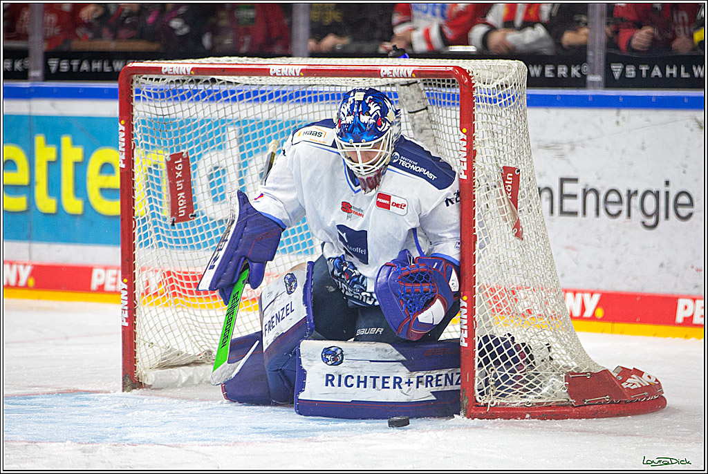 PENNY DEL; Koelner Haie- Straubing Tigers; Koeln, 28.12.2022
